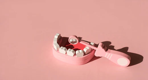 Model of a mouth